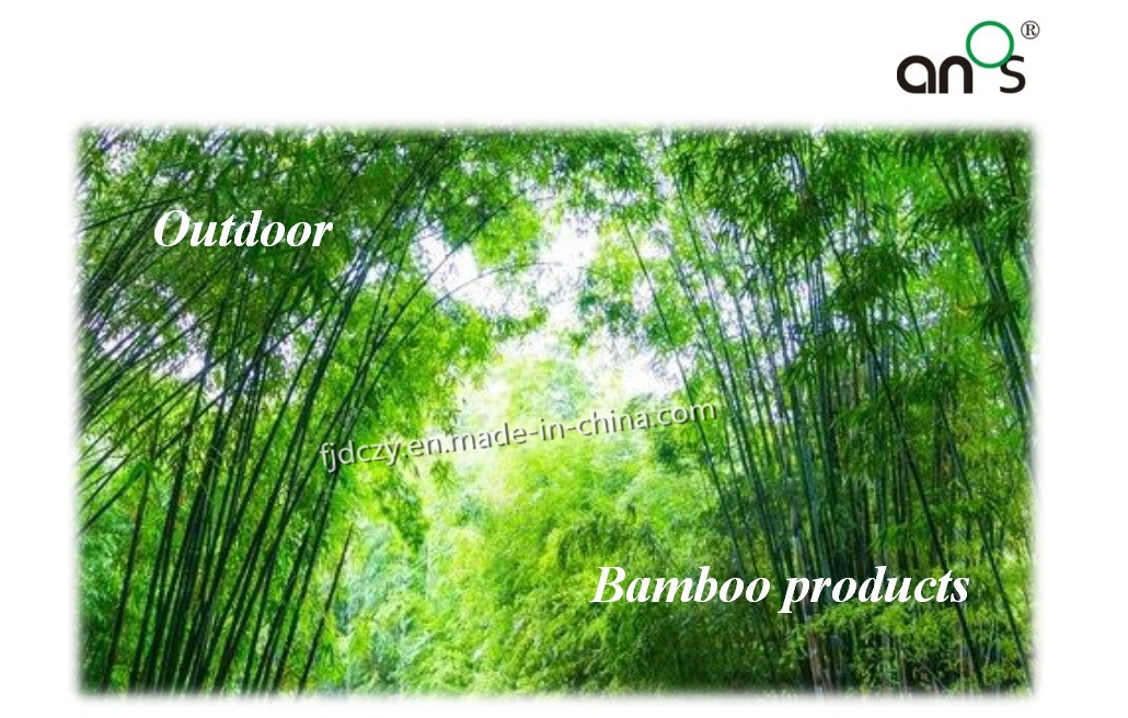 Exterior Fireproof Bf1 Building Material Home Decoration Bamboo Wall Paneling/Cladding/Panel